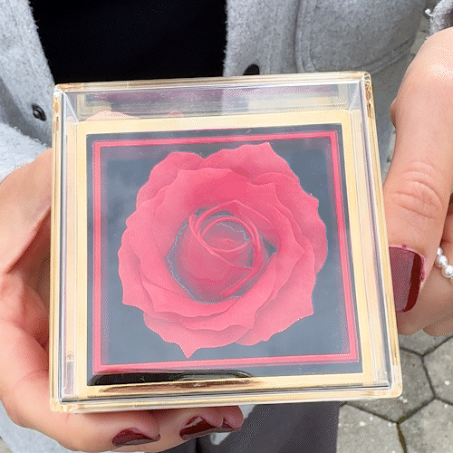 An meine Tochter – Ewige Rose mit Herzschmuck & liebevoller Karte