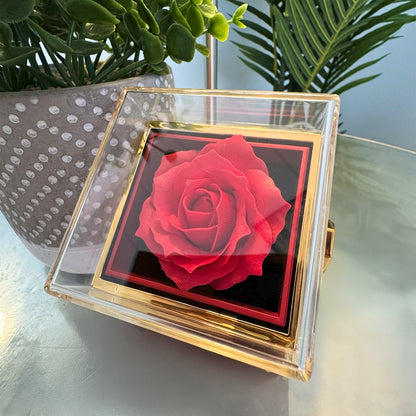 An meine Schwester – Ewige Rose mit Herzschmuck & liebevoller Karte