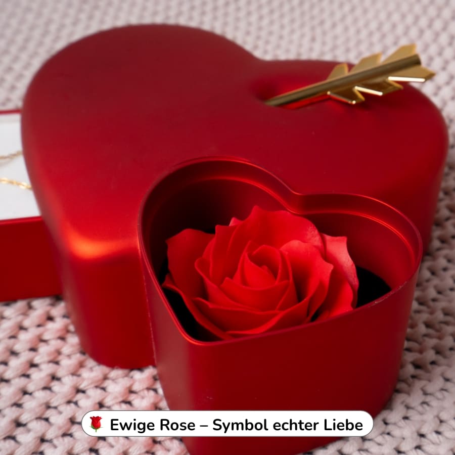 Ewige Amor-Rosenbox mit gravierter Doppelherz-Halskette