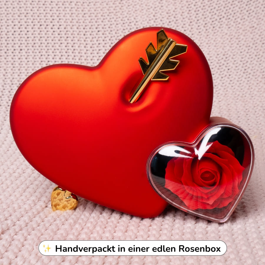 Ewige Amor-Rosenbox mit gravierter Doppelherz-Halskette