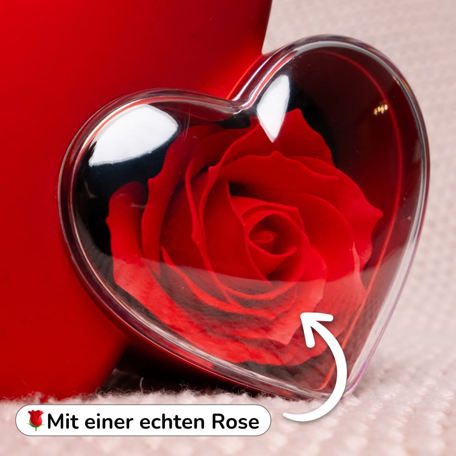 Ewige Amor-Rosenbox mit gravierter Doppelherz-Halskette