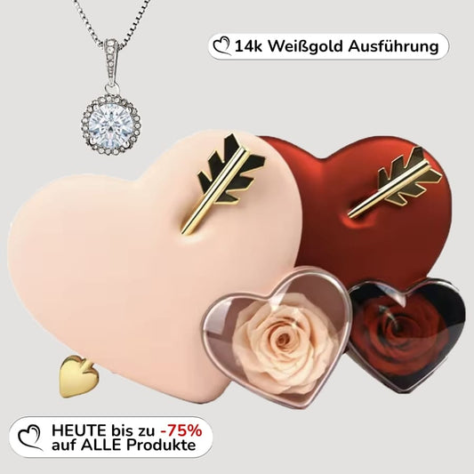 Ewige Amor-Rosenbox – Dotanhänger in 14k Weißgold Veredelung