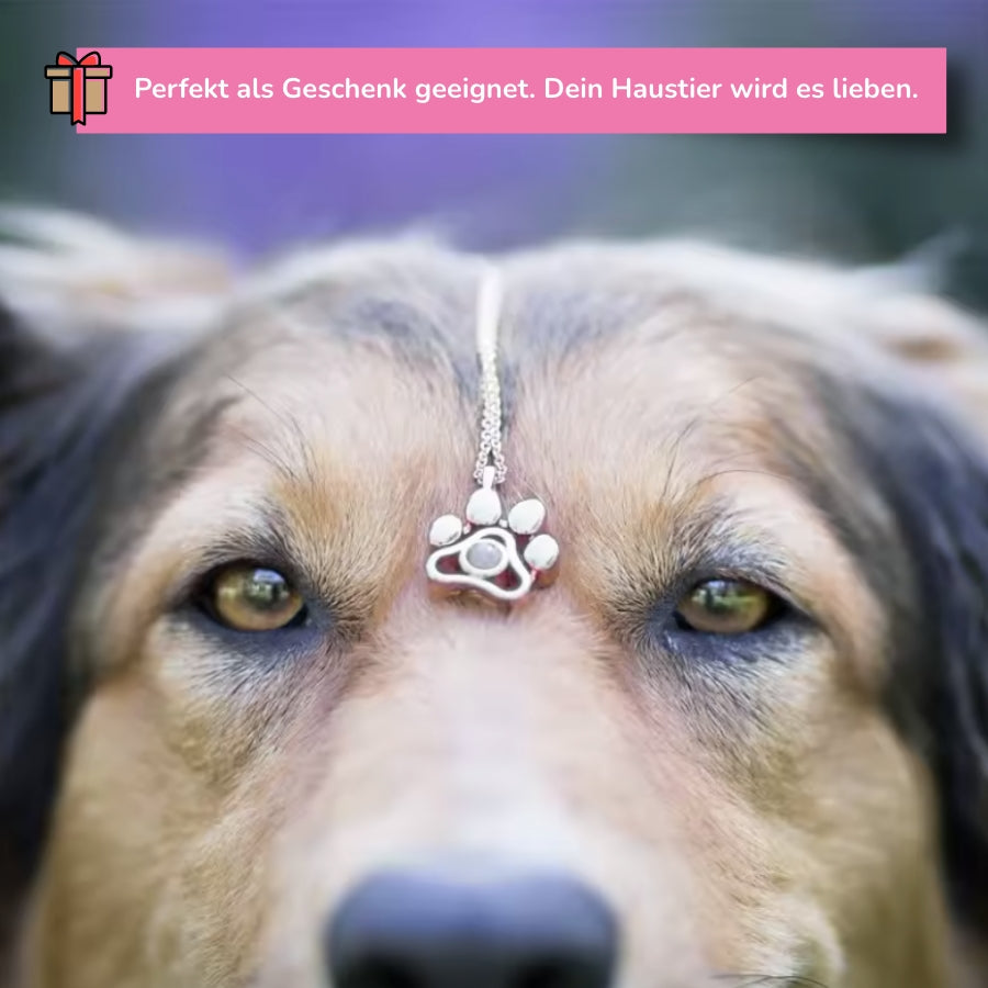 Personalisierte Pfoten-Halskette mit Foto