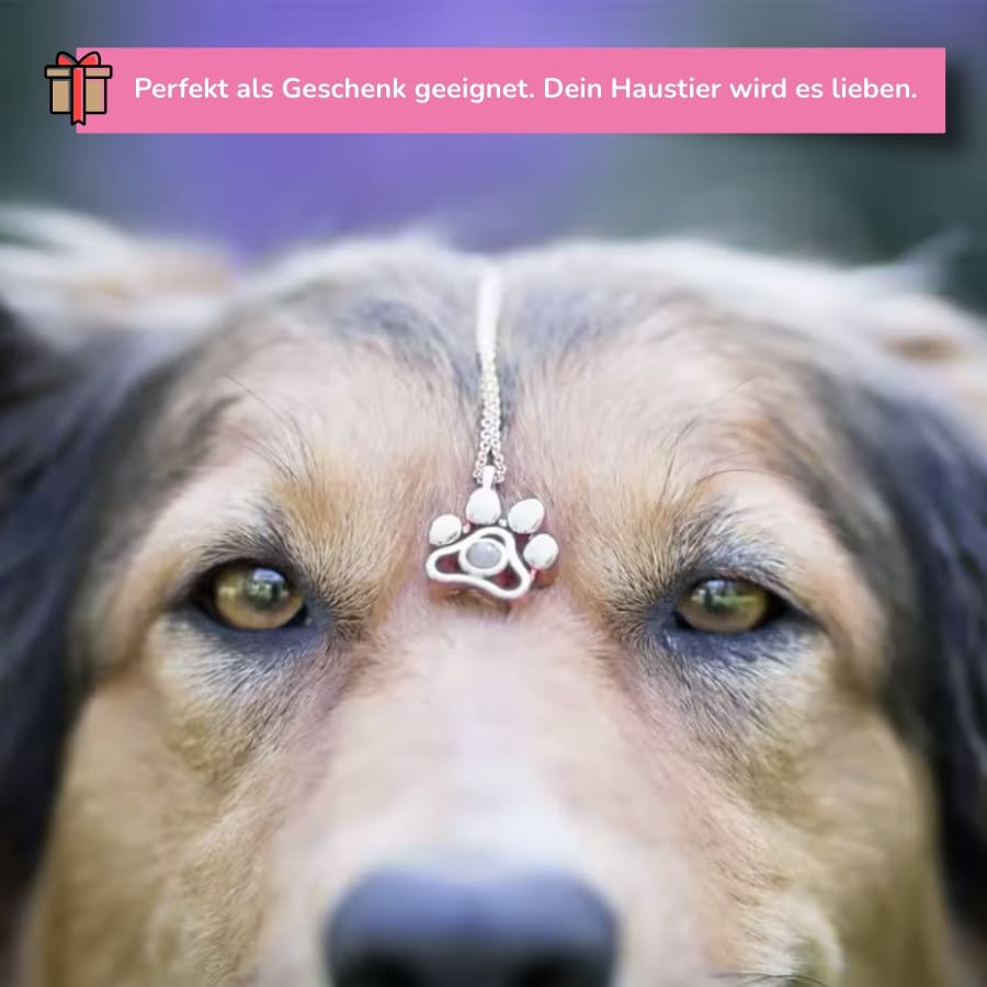 Personalisierte Pfoten-Halskette mit Foto
