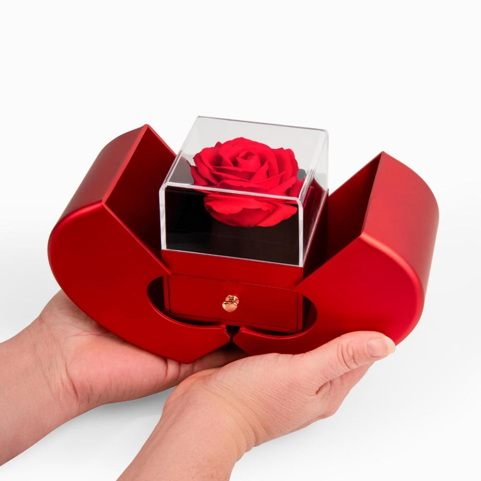 An meine Schwester - Ewige Rosenschatulle mit Herz-Halskette & liebevoller Karte