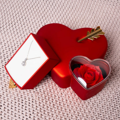 Ewige Amor-Rosenbox – Dotanhänger in 14k Weißgold Veredelung